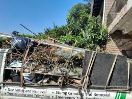 Best Hoarding Cleanup  in Panama City, FL